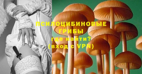 амф Нея