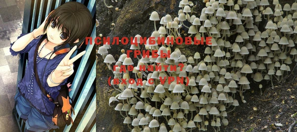тгк Зеленодольск