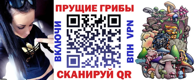Псилоцибиновые грибы GOLDEN TEACHER  Одинцово 