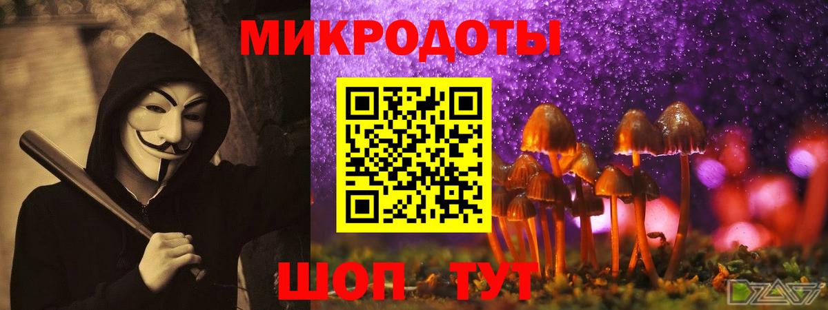 Псилоцибиновые грибы GOLDEN TEACHER  Галлюциногенные грибы GOLDEN TEACHER  Вход с VPN  Одинцово 